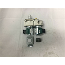 VALVE GAS NG PKG