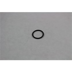 O-RING,SPRAY RINSE
